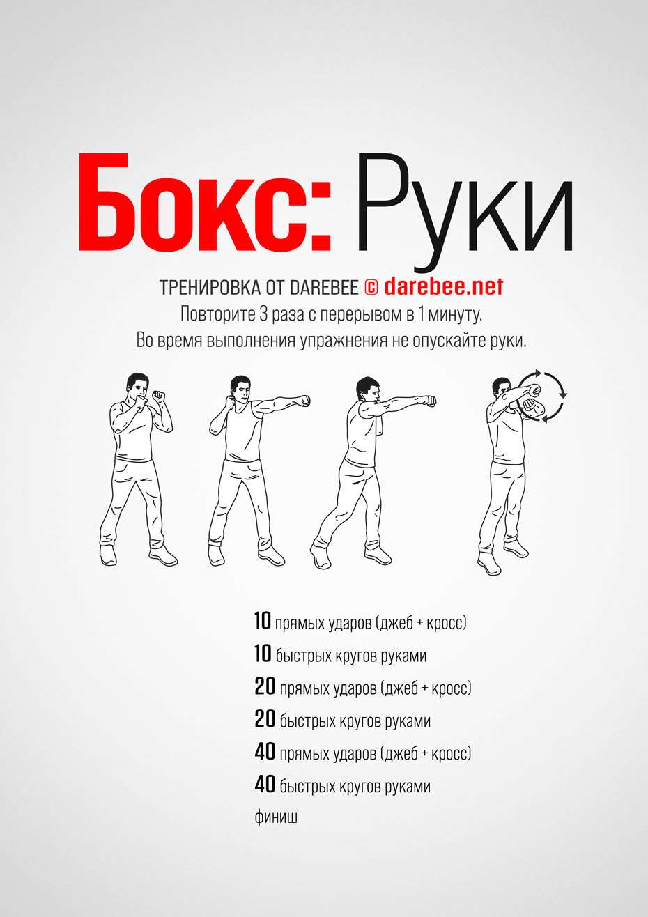 Домашние тренировки для начинающих боксеров