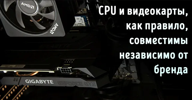 Можно ли использовать видеокарту NVIDIA с процессором AMD: Полное руководство
